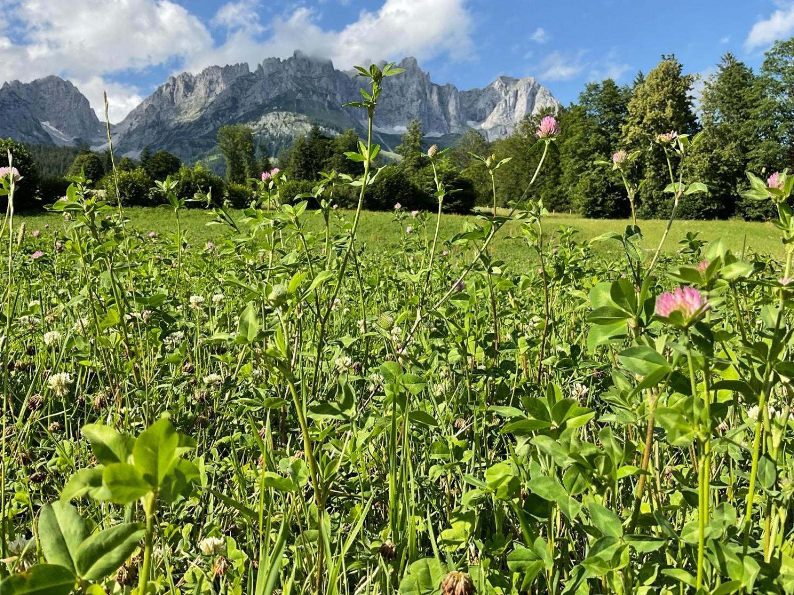 Stadtvilla Belle Kitz Im Zentrum Mit Sauna By Belle Stay Kitzbühel Exteriér fotografie